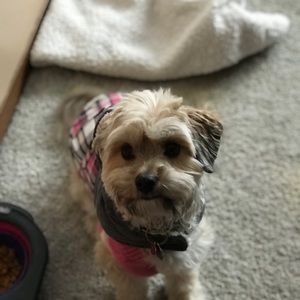 Meet your Posher, Laura